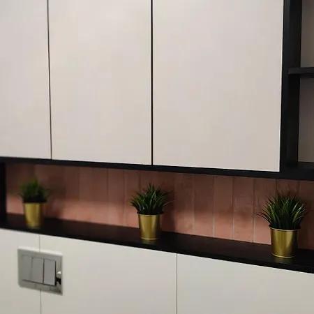 Apartmán Pruszcz Park 10 *