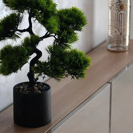 Pruszcz Park 10 Apartmán *