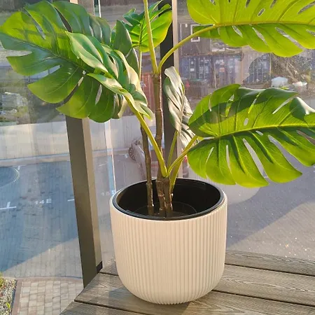 Pruszcz Park 10 Pruszcz Gdański