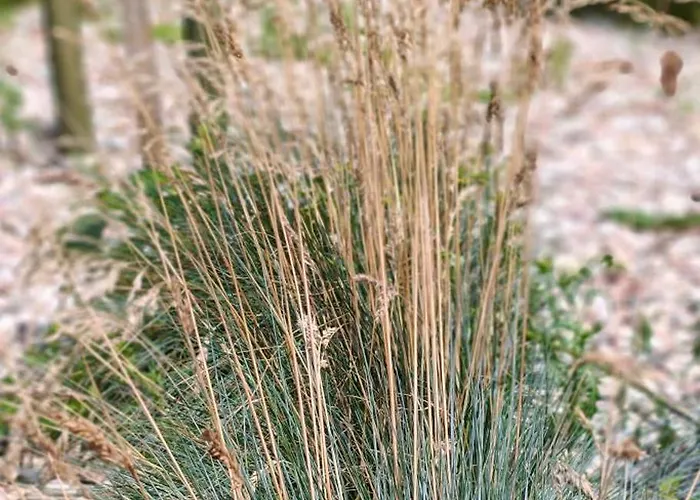 شقة Pruszcz Park 10 *