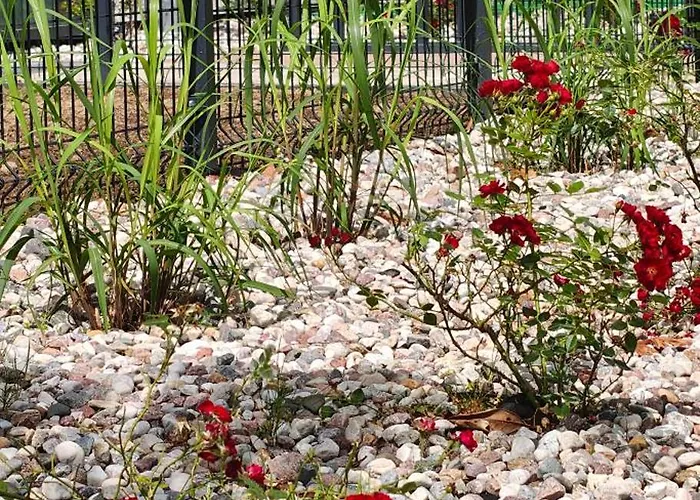 Pruszcz Park 10 * بروشت غداينسكي