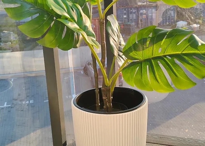 Pruszcz Park 10 بروشت غداينسكي